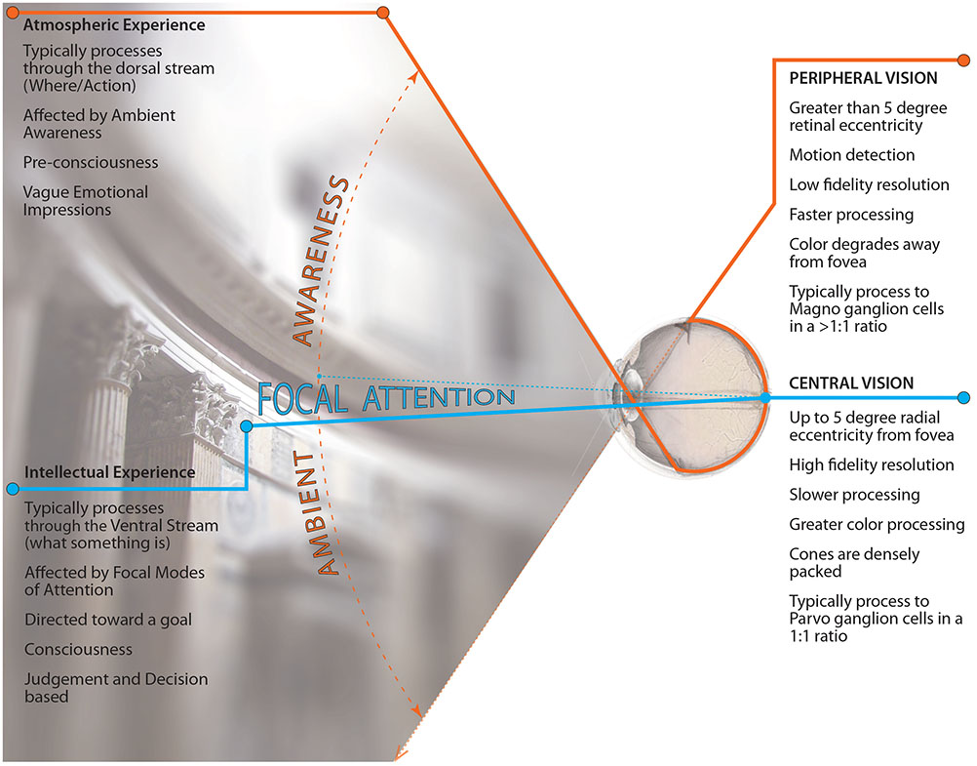 focal attention